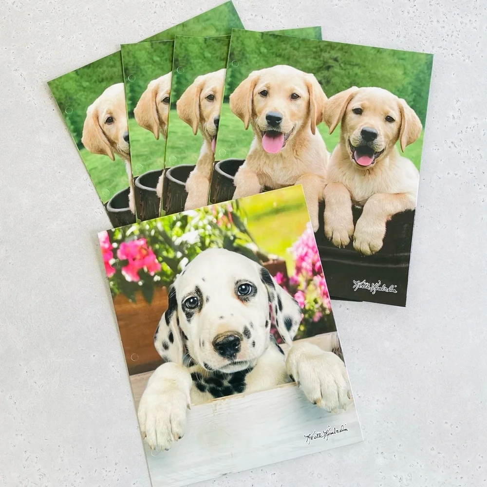Set Of 5 Vintage Keith Kimberlin Pocket Folders Puppies Dogs